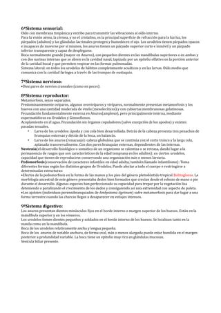 6ºSistema sensorial:
Oído con membrana timpánica y estribo para transmitir las vibraciones al oído interno.
Para la visión aérea, la córnea, y no el cristalino, es la principal superficie de refracción para la luz luz, los
párpados (adultos) y las glándulas lacrimales protegen y humedecen el ojo. Los urodelos tienen párpados opacos
e incapaces de moverse por sí mismos, los anuros tienen un párpado superior corto e inmóvil y un párpado
inferior transparente y capaz de desplegarse.
Boca normalmente grande (mayor en Anuros), con pequeños dientes en las mandíbulas superiores o en ambas y
con dos narinas internas que se abren en la cavidad nasal, tapizada por un epitelio olfativo en la porción anterior
de la cavidad bucal y que permiten respirar en las formas pulmonadas.
Sistema lateral: en todos los urodelos de hábitos completamente acuáticos y en las larvas. Oído medio que
comunica con la cavidad faríngea a través de las trompas de eustaquio.

7ºSistema nervioso:
•Diez pares de nervios craneales (como en peces).

8ºSistema reproductor:
Metamorfosis, sexos separados.
Predominantemente ovíparos, algunos ovovivíparos y vivíparos, normalmente presentan metamorfosis y los
huevos con una cantidad moderada de vitelo (mesolecíticos) y con cubiertas membranosas gelatinosas.
Fecundación fundamentalmente externa en Anuros(amplexo), pero principalmente interna, mediante
espermatóforos en Urodelos y Gimnofionos.
Acoplamiento en el agua. Fecundación sin órganos copuladores (salvo excepción de los apodos) y existen
paradas sexuales.
    • Larva de los urodelos: ápoda y con cola bien desarrollada. Detrás de la cabeza presenta tres penachos de
         branquias externas y detrás de la boca, un balancín.
    • Larva de los anuros (renacuajo): cabeza globulosa que se continúa con el corto tronco y la larga cola,
         aplanada transversalmente. Con dos pares branquias externas, dependientes de las internas.
Neotenia(el desarrollo fisiológico o somático de un organismo se ralentiza o se retrasa, dando lugar a la
permanencia de rasgos que son característicos de la edad temprana en los adultos): en ciertos urodelos,
capacidad que tienen de reproducirse conservando una organización más o menos larvaria.
Pedomorfosis(conservación de caracteres infantiles en edad adulta; también llamado infantilismo): Toma
diferentes formas según los distintos grupos de Urodelos. Puede afectar a todo el cuerpo o restringirse a
determinadas estructuras:
•Efectos de la pedomorfosis en la forma de las manos y los pies del género pletodóntido tropical Bolitoglossa. La
morfología ancestral de este género presentaba dedos bien formados que crecían desde el esbozo de mano o pie
durante el desarrollo. Algunas especies han perfeccionado su capacidad para trepar por la vegetación lisa
deteniendo o paralizando el crecimiento de los dedos y consiguiendo así una extremidad con aspecto de paleta.
•Los ajolotes (individuos perennibranquiados de Ambystoma tigrinum) sufre metamorfosis para dar lugar a una
forma terrestre cuando las charcas llegan a desaparecer en estiajes intensos.

9ºSistema digestivo:
Los anuros presentan dientes minúsculos fijos en el borde interno o margen superior de los huesos. Están en la
mandíbula superior y en los vómeres.
Los urodelos tienen dientes pequeños y soldados en el borde interno de los huesos. Se localizan tanto en la
maxila como en la mandíbula.
Boca de los urodelos relativamente ancha y lengua pequeña.
Boca de los anuros de notable anchura, de forma oval, más o menos alargada puede estar hundida en el margen
posterior a profundidad variable. La boca tiene un epitelio muy rico en glándulas mucosas.
Vesícula biliar presente.
 