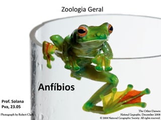 Zoologia Geral
Anfíbios
Prof. Solana
Pva, 23.05
 