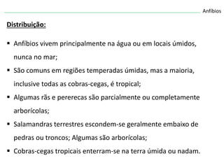 Anfíbios
Distribuição:
 Anfíbios vivem principalmente na água ou em locais úmidos,
nunca no mar;
 São comuns em regiões temperadas úmidas, mas a maioria,
inclusive todas as cobras-cegas, é tropical;
 Algumas rãs e pererecas são parcialmente ou completamente
arborícolas;
 Salamandras terrestres escondem-se geralmente embaixo de
pedras ou troncos; Algumas são arborícolas;
 Cobras-cegas tropicais enterram-se na terra úmida ou nadam.
 