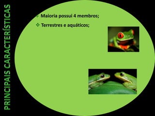  Maioria possui 4 membros;
 Terrestres e aquáticos;
 