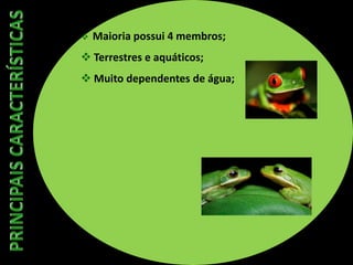  Maioria possui 4 membros;
 Terrestres e aquáticos;
 Muito dependentes de água;
 