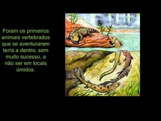 Foram os primeiros
animais vertebrados
que se aventuraram
terra a dentro, sem
muito sucesso, a
não ser em locais
úmidos.
 