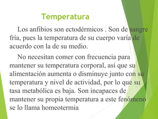 Temperatura
Los anfibios son ectodérmicos . Son de sangre
fría, pues la temperatura de su cuerpo varía de
acuerdo con la de su medio.
No necesitan comer con frecuencia para
mantener su temperatura corporal, así que su
alimentación aumenta o disminuye junto con su
temperatura y nivel de actividad, por lo que su
tasa metabólica es baja. Son incapaces de
mantener su propia temperatura a este fenómeno
se lo llama homeotermia
 