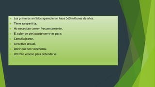  Los primeros anfibios aparecieron hace 360 millones de años.
 Tiene sangre fría.
 No necesitan comer frecuentemente.
 El color de piel puede servirles para:
 Camuflajearse.
 Atractivo sexual.
 Decir que son venenosos.
 Utilizan veneno para defenderse.
 