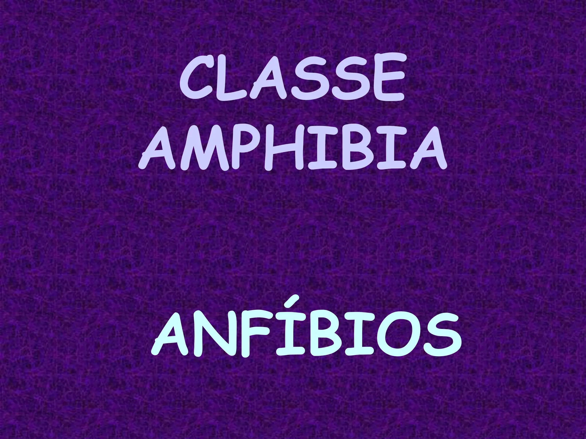 CLASSE
AMPHIBIA
ANFÍBIOS
