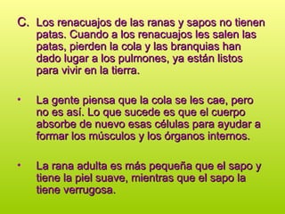 C.
C. Los renacuajos de las ranas y sapos no tienen
Los renacuajos de las ranas y sapos no tienen
patas. Cuando a los renacuajos les salen las
patas. Cuando a los renacuajos les salen las
patas, pierden la cola y las branquias han
patas, pierden la cola y las branquias han
dado lugar a los pulmones, ya están listos
dado lugar a los pulmones, ya están listos
para vivir en la tierra.
para vivir en la tierra.
• La gente piensa que la cola se les cae, pero
La gente piensa que la cola se les cae, pero
no es así. Lo que sucede es que el cuerpo
no es así. Lo que sucede es que el cuerpo
absorbe de nuevo esas células para ayudar a
absorbe de nuevo esas células para ayudar a
formar los músculos y los órganos internos.
formar los músculos y los órganos internos.
• La rana adulta es más pequeña que el sapo y
La rana adulta es más pequeña que el sapo y
tiene la piel suave, mientras que el sapo la
tiene la piel suave, mientras que el sapo la
tiene verrugosa.
tiene verrugosa.
 