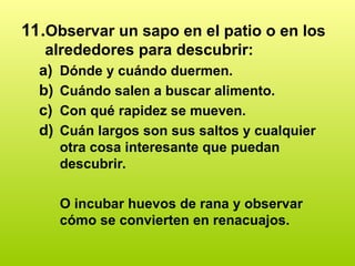 11.Observar un sapo en el patio o en los
alrededores para descubrir:
a) Dónde y cuándo duermen.
b) Cuándo salen a buscar alimento.
c) Con qué rapidez se mueven.
d) Cuán largos son sus saltos y cualquier
otra cosa interesante que puedan
descubrir.
O incubar huevos de rana y observar
cómo se convierten en renacuajos.
 