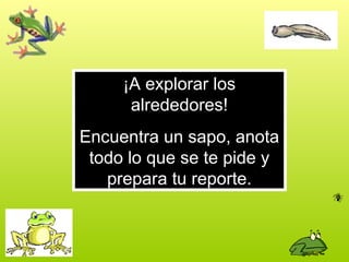 ¡A explorar los
alrededores!
Encuentra un sapo, anota
todo lo que se te pide y
prepara tu reporte.
 