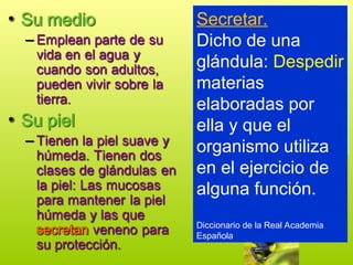Secretar.
Dicho de una
glándula: Despedir
materias
elaboradas por
ella y que el
organismo utiliza
en el ejercicio de
alguna función.
Diccionario de la Real Academia
Española
 