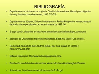 BIBLIOGRAFÍA
• Departamento de ministerios de la iglesia, División Interamericana, Manual para dirigentes
de conquistadores pre-adolescentes, 1990: 317-319.
• Departamento de Jóvenes, División Interamericana, Revista Perspectiva, Número especial
dedicado a las especialidades JA, tercer trimestre de 1997: 56
• El sapo común, disponible en http://www.todoanfibios.com/anfibios/Sapo_comun.php.
• Zoológico de Chapultepec: http://www.chapultepec.df.gob.mx/ Véase “Los anfibios”.
• Sociedad Zoológica de Londres (ZSL, por sus siglas en inglés):
http://www.zsl.org/
• National Geographic: http://www.nationalgeographic.com/,
• Distribución mundial de las salamandras, véase: http://es.wikipedia.org/wiki/Caudata
• Animaciones: http://www.animationlibrary.com/sc/71/Frogs/
 