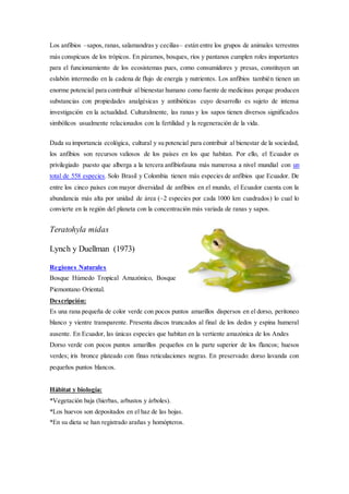 Los anfibios –sapos, ranas, salamandras y cecilias– están entre los grupos de animales terrestres
más conspicuos de los trópicos. En páramos, bosques, ríos y pantanos cumplen roles importantes
para el funcionamiento de los ecosistemas pues, como consumidores y presas, constituyen un
eslabón intermedio en la cadena de flujo de energía y nutrientes. Los anfibios también tienen un
enorme potencial para contribuir al bienestar humano como fuente de medicinas porque producen
substancias con propiedades analgésicas y antibióticas cuyo desarrollo es sujeto de intensa
investigación en la actualidad. Culturalmente, las ranas y los sapos tienen diversos significados
simbólicos usualmente relacionados con la fertilidad y la regeneración de la vida.
Dada su importancia ecológica, cultural y su potencial para contribuir al bienestar de la sociedad,
los anfibios son recursos valiosos de los países en los que habitan. Por ello, el Ecuador es
privilegiado puesto que alberga a la tercera anfibiofauna más numerosa a nivel mundial con un
total de 558 especies. Solo Brasil y Colombia tienen más especies de anfibios que Ecuador. De
entre los cinco países con mayor diversidad de anfibios en el mundo, el Ecuador cuenta con la
abundancia más alta por unidad de área (~2 especies por cada 1000 km cuadrados) lo cual lo
convierte en la región del planeta con la concentración más variada de ranas y sapos.
Teratohyla midas
Lynch y Duellman (1973)
Regiones Naturales
Bosque Húmedo Tropical Amazónico, Bosque
Piemontano Oriental.
Descripción:
Es una rana pequeña de color verde con pocos puntos amarillos dispersos en el dorso, peritoneo
blanco y vientre transparente. Presenta discos truncados al final de los dedos y espina humeral
ausente. En Ecuador, las únicas especies que habitan en la vertiente amazónica de los Andes
Dorso verde con pocos puntos amarillos pequeños en la parte superior de los flancos; huesos
verdes; iris bronce plateado con finas reticulaciones negras. En preservado: dorso lavanda con
pequeños puntos blancos.
Hábitat y biología:
*Vegetación baja (hierbas, arbustos y árboles).
*Los huevos son depositados en el haz de las hojas.
*En su dieta se han registrado arañas y homópteros.
 