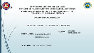 UNIVERSIDAD CENTRAL DEL ECUADOR
FACULTAD DE FILOSOFÍA, LETRAS Y CIENCIA DE LA EDUCACIÓN
CARRERA DE PEDAGOGIA EN CIENCIAS EXPERIMENTALES.
PEDAGODIA EN BIOLOGIAY QUIMICA
ZOOLOGÍA DE VERTEBRADOS
TEMA: DIVERSIDAD DE ANFIBIOS EN EL ECUADOR
ESTUDIANTES: CAYAMBE DARWIN
LLULLUNA JASON
DOCENTE: Dr. Iván Morillo Villareal
CURSO: CUARTO
SEMESTRE “B”
 