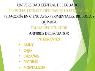 UNIVERSIDAD CENTRAL DEL ECUADOR
FILOSOFÍA, LETRAS Y CIENCIAS DE LA EDUCACIÓN
PEDAGOGÍA EN CIENCIAS EXPERIMENTALES, BIOLOGÍA Y
QUÍMICA
FAUNA DEL ECUADOR
ANFIBIOS DEL ECUADOR
INTEGRANTES:
• AMUY
• CAJO
• CAZAÑAS
• ESCOBAR
• MONTALUISA
 