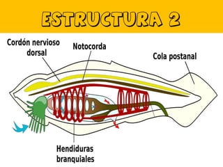 Estructura 2

 
