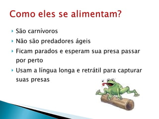 São carnívoros Não são predadores ágeis Ficam parados e esperam sua presa passar por perto Usam a língua longa e retrátil para capturar suas presas 