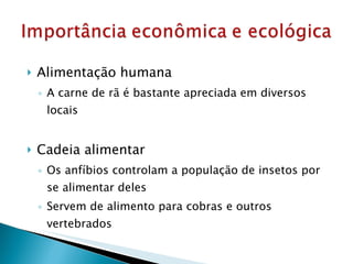 Alimentação humana A carne de rã é bastante apreciada em diversos locais  Cadeia alimentar Os anfíbios controlam a população de insetos por se alimentar deles Servem de alimento para cobras e outros vertebrados 