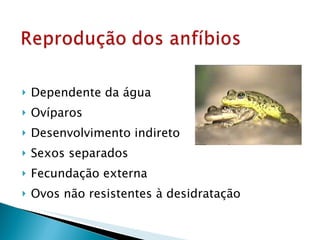 Dependente da água Ovíparos Desenvolvimento indireto Sexos separados Fecundação externa Ovos não resistentes à desidratação 
