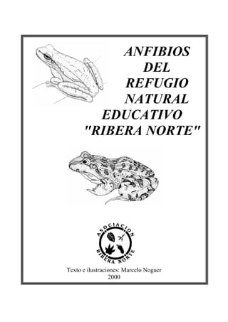 ANFIBIOS
DEL
REFUGIO
NATURAL
EDUCATIVO
"RIBERA NORTE"
Texto e ilustraciones: Marcelo Noguer
2000
 