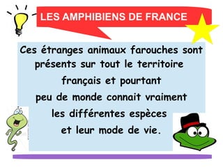 LES AMPHIBIENS DE FRANCE
Ces étranges animaux farouches sont
présents sur tout le territoire
français et pourtant
peu de monde connait vraiment
les différentes espèces
et leur mode de vie.