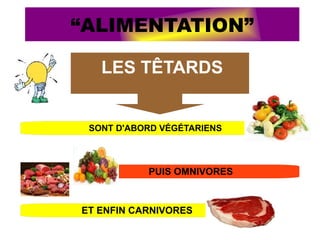 “ALIMENTATION”
LES TÊTARDS
SONT D'ABORD VÉGÉTARIENS
PUIS OMNIVORES
ET ENFIN CARNIVORES