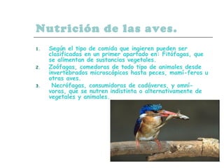 Nutrición de las aves.
1. Según el tipo de comida que ingieren pueden ser
clasificadas en un primer apartado en: Fitófagas, que
se alimentan de sustancias vegetales.
2. Zoófagas, comedoras de todo tipo de animales desde
invertebrados microscópicos hasta peces, mamí­feros u
otras aves.
3. Necrófagas, consumidoras de cadáveres, y omní­
voras, que se nutren indistinta o alternativamente de
vegetales y animales.
 