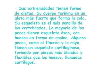 · Sus extremidades tienen forma
de aletas. Su cuerpo termina en un
aleta más fuerte que forma la cola.
Su esqueleto es el más sencillo de
los vertebrados. La mayoría de los
peces tienen esqueleto óseo, con
huesos en forma de espina. Algunos
peces, como el tiburón y la raya,
tienen un esqueleto cartilaginoso,
formado por piezas más blandas y
flexibles que los huesos, llamadas
cartílagos.
 