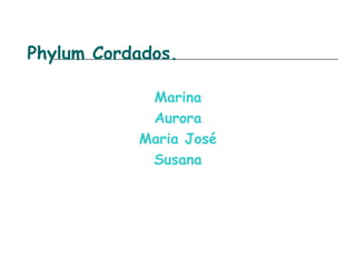 Phylum Cordados.
Marina
Aurora
Maria José
Susana
 