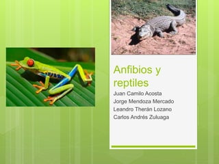 Anfibios y
reptiles
Juan Camilo Acosta
Jorge Mendoza Mercado
Leandro Therán Lozano
Carlos Andrés Zuluaga
 