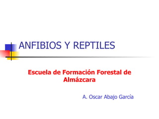 ANFIBIOS Y REPTILES Escuela de Formación Forestal de Almázcara A. Oscar Abajo García 
