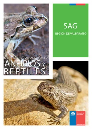 sag
REGIÓN DE VALPARAÍSO
ANFIBIOS Y
G U Í A D E R E C O N O C I M I E N TO
REPTILES
ANFIBIOS Y
G U Í A D E R E C O N O C I M I E N TO
REPTILES
 