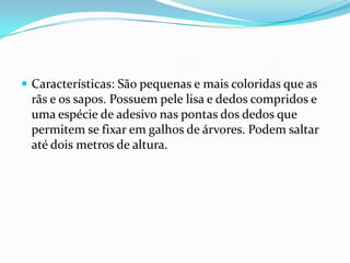 Características: São pequenas e mais coloridas que as rãs e os sapos. Possuem pele lisa e dedos compridos e uma espécie de adesivo nas pontas dos dedos que permitem se fixar em galhos de árvores. Podem saltar até dois metros de altura. 