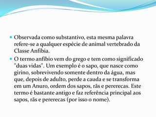 Observada como substantivo, esta mesma palavra refere-se a qualquer espécie de animal vertebrado da Classe Anfíbia.  O termo anfíbio vem do grego e tem como significado "duas vidas". Um exemplo é o sapo, que nasce como girino, sobrevivendo somente dentro da água, mas que, depois de adulto, perde a cauda e se transforma em um Anuro, ordem dos sapos, rãs e pererecas. Este termo é bastante antigo e faz referência principal aos sapos, rãs e pererecas (por isso o nome). 