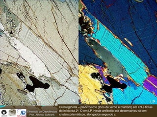 LN                                                         LP
                          Cumingtonita – pleocroismo (tons de verde e marrom) em LN e tintas
©Instituto de Geociências do início da 2ª. O em LP. Neste anfibolito ela desenvolveu-se em
  Prof. Alfonso Schrank   cristais prismáticos, alongados segundo c.
 