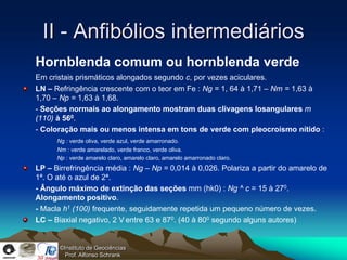 II - Anfibólios intermediários
Hornblenda comum ou hornblenda verde
Em cristais prismáticos alongados segundo c, por vezes aciculares.
LN – Refringência crescente com o teor em Fe : Ng = 1, 64 à 1,71 – Nm = 1,63 à
1,70 – Np = 1,63 à 1,68.
- Seções normais ao alongamento mostram duas clivagens losangulares m
(110) à 560.
- Coloração mais ou menos intensa em tons de verde com pleocroísmo nítido :
      Ng : verde oliva, verde azul, verde amarronado.
      Nm : verde amarelado, verde franco, verde oliva.
      Np : verde amarelo claro, amarelo claro, amarelo amarronado claro.
LP – Birrefringência média : Ng – Np = 0,014 à 0,026. Polariza a partir do amarelo de
1ª. O até o azul de 2ª.
- Ângulo máximo de extinção das seções mm (hk0) : Ng ^ c = 15 à 270.
Alongamento positivo.
- Macla h1 (100) frequente, seguidamente repetida um pequeno número de vezes.
LC – Biaxial negativo, 2 V entre 63 e 870. (40 à 800 segundo alguns autores)


       ©Instituto de Geociências
         Prof. Alfonso Schrank
 