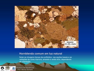 Hornblenda comum em luz natural
    Notar as clivagens típicas dos anfibólios nas seções basais e as
    variações de cores marrons, amarelo e verde oliva, dependendo
    da orientação.


©Instituto de Geociências
  Prof. Alfonso Schrank
 