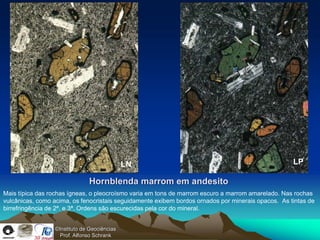 LN                                                    LP

                               Hornblenda marrom em andesito
Mais típica das rochas ígneas, o pleocroísmo varia em tons de marrom escuro a marrom amarelado. Nas rochas
vulcânicas, como acima, os fenocristais seguidamente exibem bordos ornados por minerais opacos. As tintas de
birrefringência de 2ª. e 3ª. Ordens são escurecidas pela cor do mineral.


                  ©Instituto de Geociências
                    Prof. Alfonso Schrank
 