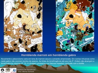 LN                                                     LP

                       Hornblenda marrom em hornblenda gabro
Novamente o pleocroísmo varia em tons de marrom escuro a amarelo amarronado. Em rochas intrusivas como
neste gabro não ocorrem bordos de opacos. As tintas de birrefringência até azul de 2ª. Ordem não alcançam a
birrefringência máxima (3ª. O). A clivagem grosseira e as fraturas impedem confusão com a biotita.


                  ©Instituto de Geociências
                    Prof. Alfonso Schrank
 
