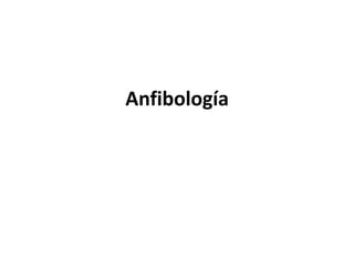 Anfibología
 