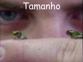 Tamanho