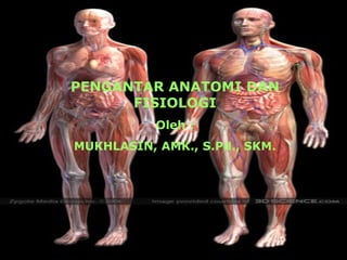 PENGANTAR ANATOMI DAN
      FISIOLOGI
           Oleh :
MUKHLASIN, AMK., S.Pd., SKM.
 