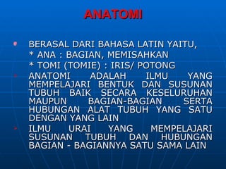 ANATOMI

    BERASAL DARI BAHASA LATIN YAITU,
    * ANA : BAGIAN, MEMISAHKAN
    * TOMI (TOMIE) : IRIS/ POTONG
   ANATOMI     ADALAH      ILMU   YANG
    MEMPELAJARI BENTUK DAN SUSUNAN
    TUBUH BAIK SECARA KESELURUHAN
    MAUPUN      BAGIAN-BAGIAN     SERTA
    HUBUNGAN ALAT TUBUH YANG SATU
    DENGAN YANG LAIN
   ILMU    URAI    YANG     MEMPELAJARI
    SUSUNAN TUBUH DAN HUBUNGAN
    BAGIAN - BAGIANNYA SATU SAMA LAIN
 