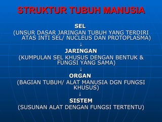STRUKTUR TUBUH MANUSIA
                    SEL
(UNSUR DASAR JARINGAN TUBUH YANG TERDIRI
   ATAS INTI SEL/ NUCLEUS DAN PROTOPLASMA)
                      ↓
                 JARINGAN
  (KUMPULAN SEL KHUSUS DENGAN BENTUK &
              FUNGSI YANG SAMA)
                      ↓
                   ORGAN
 (BAGIAN TUBUH/ ALAT MANUSIA DGN FUNGSI
                    KHUSUS)
                     ↓
                   SISTEM
  (SUSUNAN ALAT DENGAN FUNGSI TERTENTU)
 