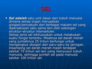 SEL
   Sel adalah satu unit dasar dari tubuh manusia
    dimana setiap organ merupakan
    gregasi/penyatuan dari berbagai macam sel yang
    dipersatukan satu sama lain oleh sokongan
    struktur-struktur interselluler.
    Setiap jenis sel dikhususkan untuk melakukan
    suatu fungsi tertentu. Misalnya sel darah merah
    yang jumlahnya 25 triliun berfungsi untuk
    mengangkut oksigen dari paru-paru ke jaringan.
    Disamping sel darah merah masih terdapat
    sekitar 75 triliun sel lain yang menyusun tubuh
    manusia, sehingga jumlah sel pada manusia
    sekitar 100 triliun sel.
 
