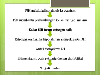 FSH melalui aliran darah ke ovarium
FSH membantu perkembangan folikel menjadi matang
Kadar FSH turun, estrogen naik
Estrogen kembali ke hipotalamus menyekresi GnRH
GnRH menyekresi LH
LH membantu oosit sekunder keluar dari folikel
Terjadi ovulasi
 
