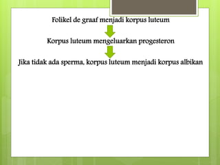 Folikel de graaf menjadi korpus luteum
Korpus luteum mengeluarkan progesteron
Jika tidak ada sperma, korpus luteum menjadi korpus albikan
 