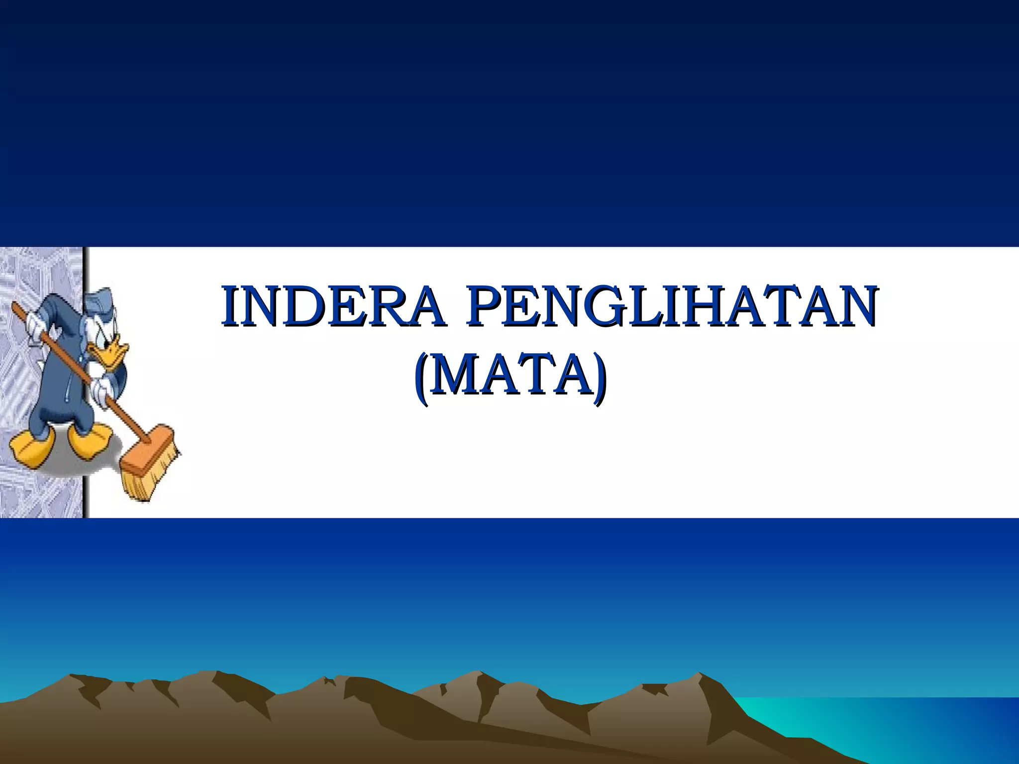 Sistem penginderaan | PPT