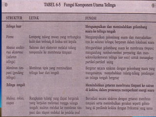 Sistem penginderaan | PPT