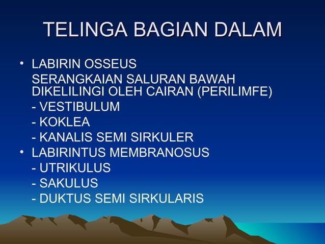 Sistem penginderaan | PPT