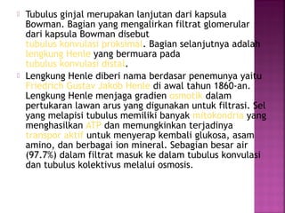 



Tubulus ginjal merupakan lanjutan dari kapsula
Bowman. Bagian yang mengalirkan filtrat glomerular
dari kapsula Bowman disebut
tubulus konvulasi proksimal. Bagian selanjutnya adalah
lengkung Henle yang bermuara pada
tubulus konvulasi distal.
Lengkung Henle diberi nama berdasar penemunya yaitu
Friedrich Gustav Jakob Henle di awal tahun 1860-an.
Lengkung Henle menjaga gradien osmotik dalam
pertukaran lawan arus yang digunakan untuk filtrasi. Sel
yang melapisi tubulus memiliki banyak mitokondria yang
menghasilkan ATP dan memungkinkan terjadinya
transpor aktif untuk menyerap kembali glukosa, asam
amino, dan berbagai ion mineral. Sebagian besar air
(97.7%) dalam filtrat masuk ke dalam tubulus konvulasi
dan tubulus kolektivus melalui osmosis.

 