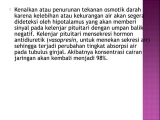 

Kenaikan atau penurunan tekanan osmotik darah
karena kelebihan atau kekurangan air akan segera
dideteksi oleh hipotalamus yang akan memberi
sinyal pada kelenjar pituitari dengan umpan balik
negatif. Kelenjar pituitari mensekresi hormon
antidiuretik (vasopresin, untuk menekan sekresi air)
sehingga terjadi perubahan tingkat absorpsi air
pada tubulus ginjal. Akibatnya konsentrasi cairan
jaringan akan kembali menjadi 98%.

 